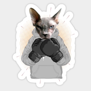 Boxing | Sphynx cat Sticker